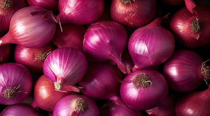 Onion Export | Onion | Modi Government