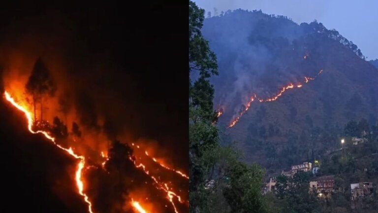 forest fire uttarakhand