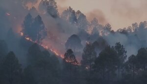 Cremation | Forest Fire | Uttarakhand | Shreshth Uttarakhand