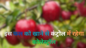 Fruit For Cholesterol Control shresth Uttarkhand