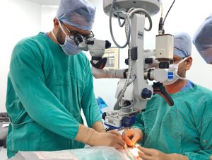 Macular Buckle Titanium Surgery