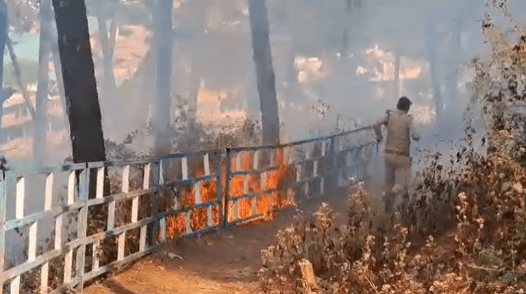 Fire In Uttarakhand | Uttarakhand Forest Fire | CM Dhami |