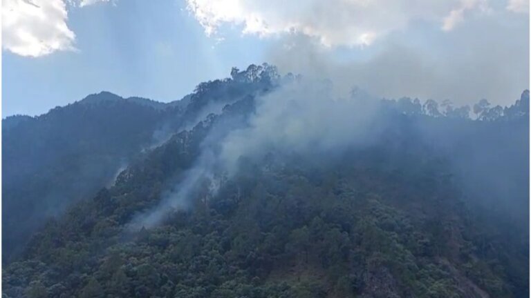 rudraprayag forest fire news