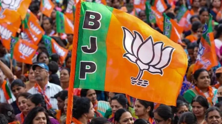 BJP Seats in 2019 Lok Sabha Election: बीजेपी को 2019 में किस राज्य में कितनी सीटें मिली थीं?