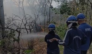 Forest Fire In Haldwani