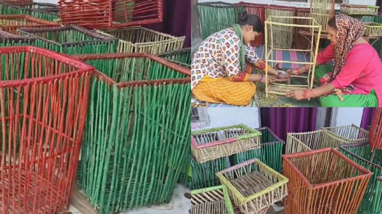 Chamoli News: Lantana Wood Products से महिलाएं बन रहीं लखपति