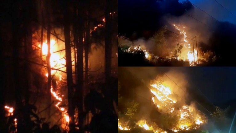 uttarakhand forest fire: अबतक 10 लोगों की मौत
