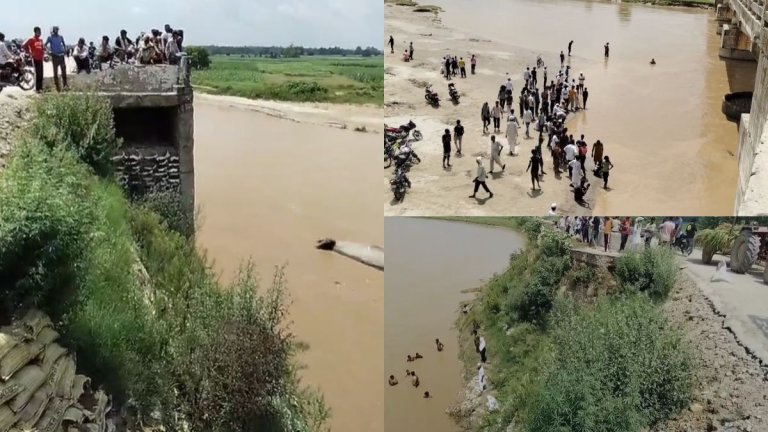 Roorkee news Bullock cart fell into the river