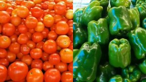 Vegetables Prices Increased in Haldwani