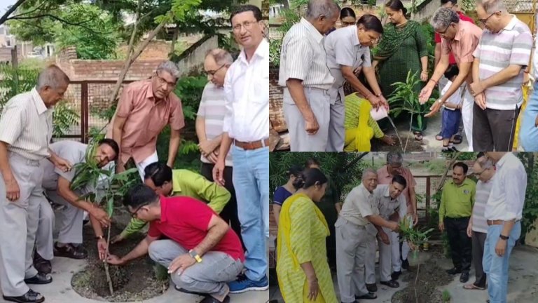 harela festival uttarakhand planting trees in kanya pathshala roorkee