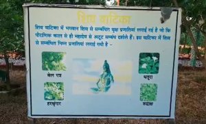 Forest Research Center Haldwani