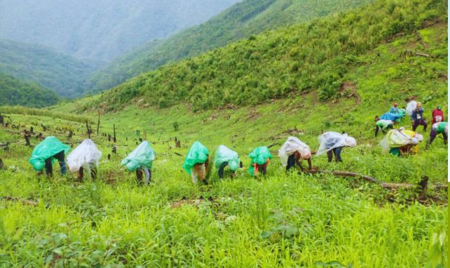 Organic Farming In Uttarakhand