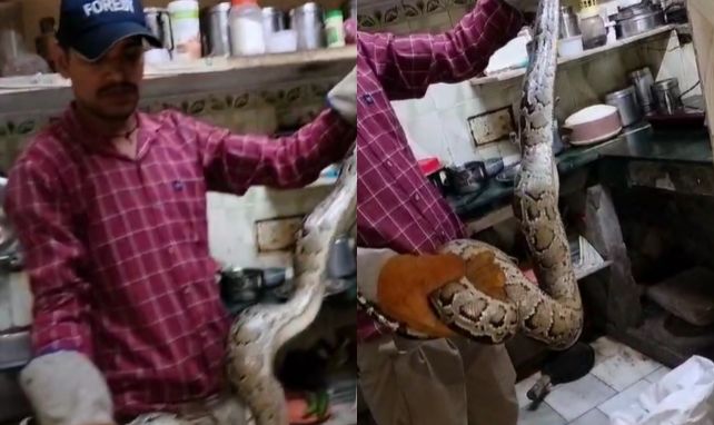 Python Rescue In Haridwar