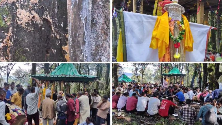 doodh gadu mela milk butter festival uttarkashi