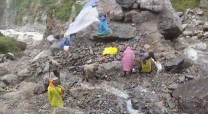 kedarnath yatra 2024 | bjp state spokesperson report | ajay kothiyal report |