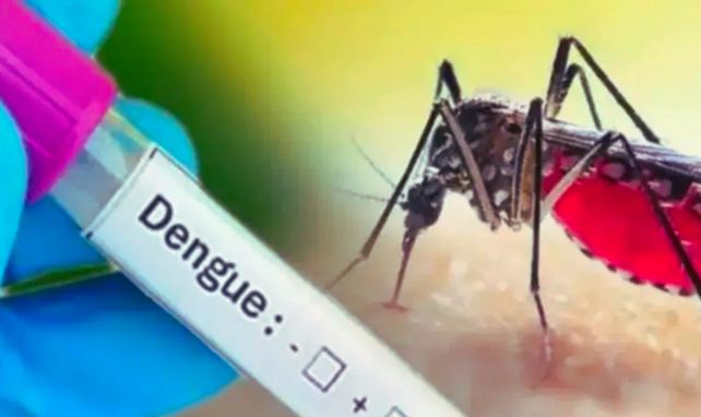 Dengue Patient Found In Haldwani