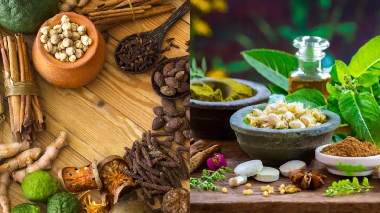 International Ayurveda Conference in Uttarakhand