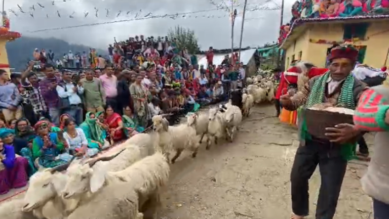 bhed kauthig mela | uttarakhand gangi village | someshwar mahadev temple |