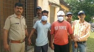 Two Forest Smugglers Arrested