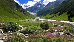 Valley of Flowers