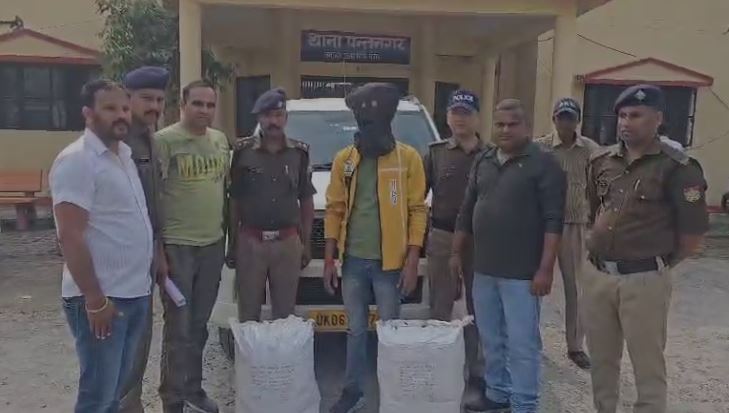 37 KG Hemp Recovered